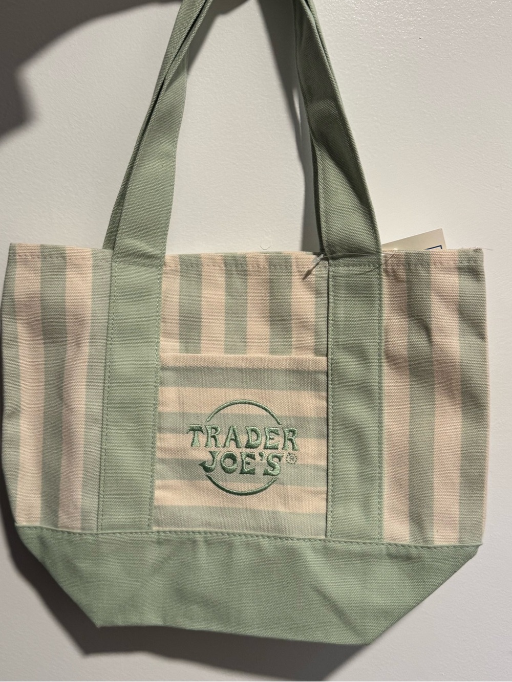 Green Trader Joe’s summer bag- mini tote